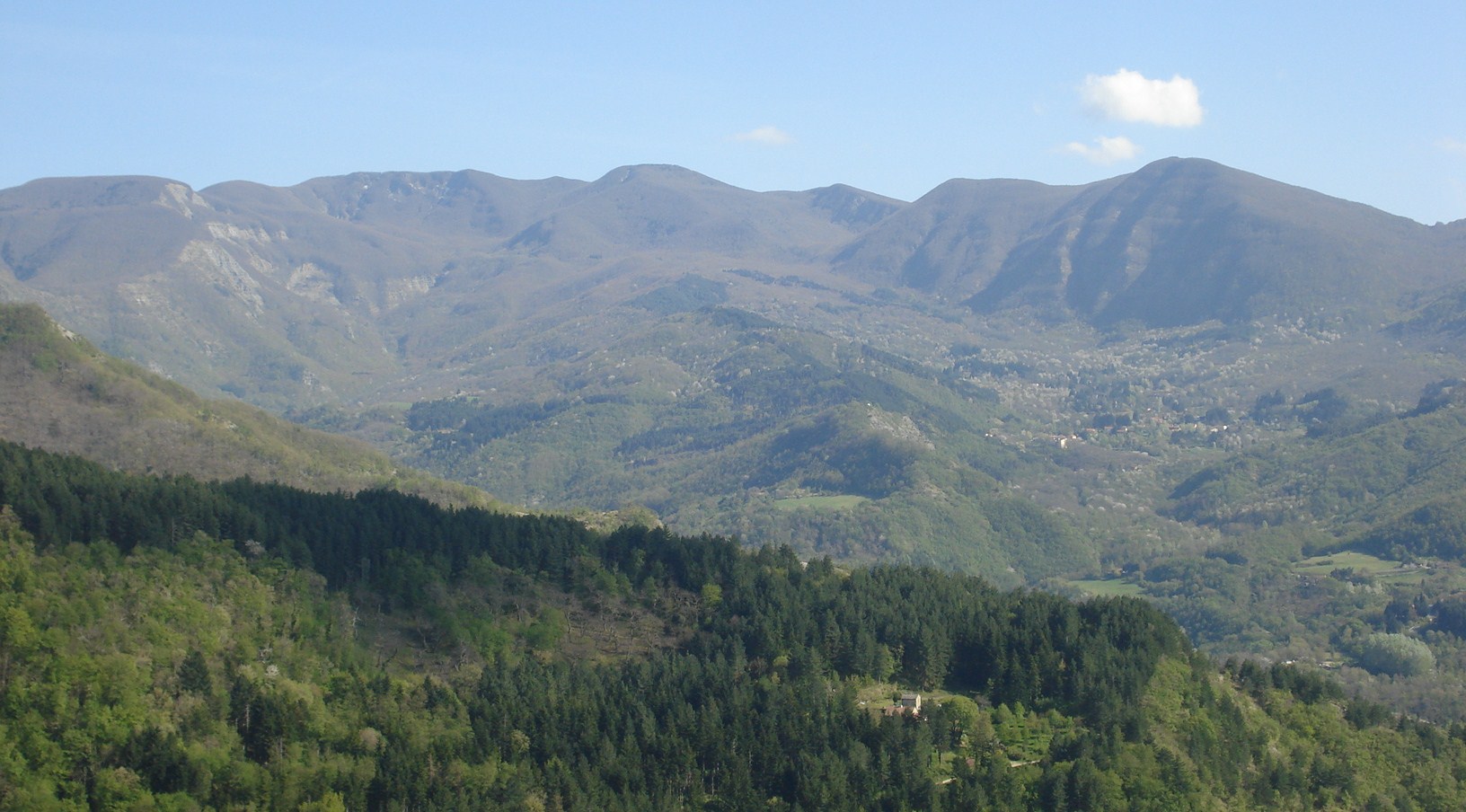 Valle Falterona